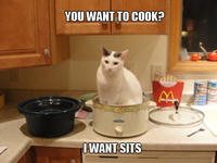 If It Fits I Sits