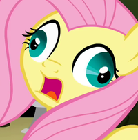 My Little Pony: Friendship is Magic