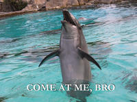 COME AT ME BRO