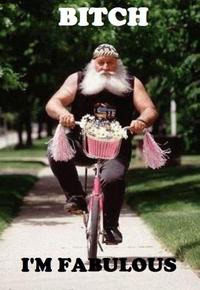 Bitch I'm Fabulous
