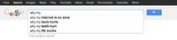 Google Search Box Suggestions 