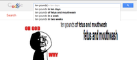 Google Search Box Suggestions 