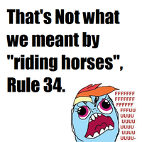 55e.png