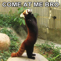 COME AT ME BRO