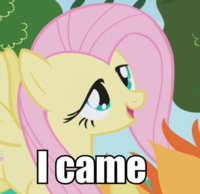 Pony Reactions