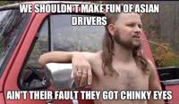 Almost Politically Correct Redneck