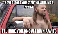 Almost Politically Correct Redneck