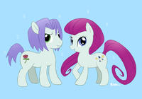 Ponification