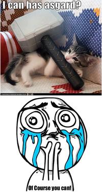Cuteness Overload