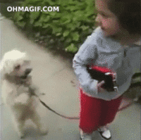 Dogs