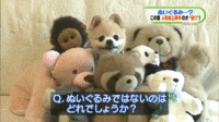 Dogs