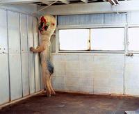 SCP Foundation