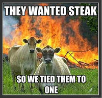 Evil Cows