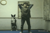 Dogs