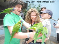 Limes Guy / Why Can't I Hold All These Limes?