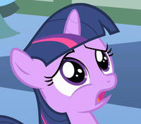 Pony Reactions