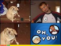Oh, You