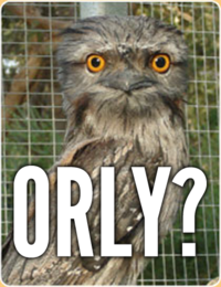 O RLY?