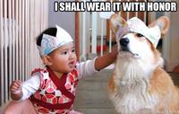 Dogs