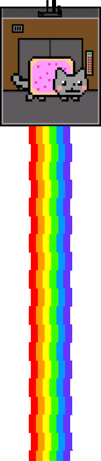 Nyan Cat / Pop Tart Cat