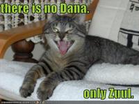 There is No Dana, Only Zuul