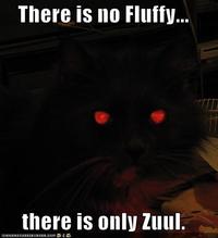 There is No Dana, Only Zuul