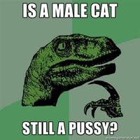 Philosoraptor