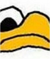 Dolan