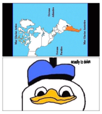 Dolan
