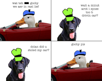 Dolan