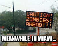 Miami Zombie