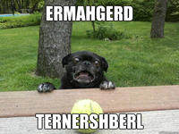 Ermahgerd