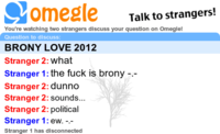 Omegle Spy Mode