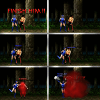FINISH HIM! / FATALITY / Fake Fatalities