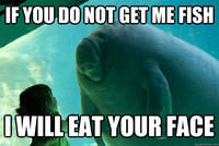 Overlord Manatee
