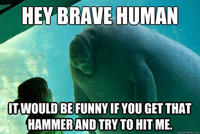 Overlord Manatee