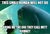 Overlord Manatee
