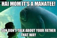 Overlord Manatee