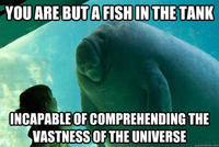 Overlord Manatee