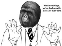That Really Rustled My Jimmies