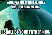 Overlord Manatee