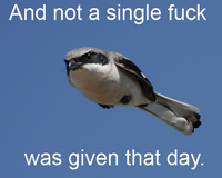 And Not a Single Fuck Was Given That Day