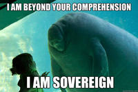 Overlord Manatee