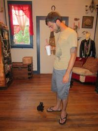 Cats