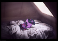 My Little Pony: Friendship is Magic