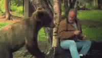 GIF
