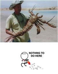 Nothing To Do Here / Jet Pack Guy