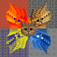 Cats