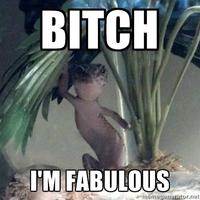 Bitch I'm Fabulous