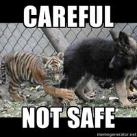 Dogs